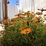 Casa Do Canto 아파트 *