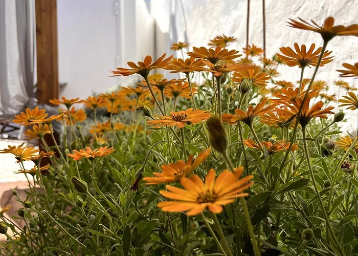 Casa Do Canto 公寓 *